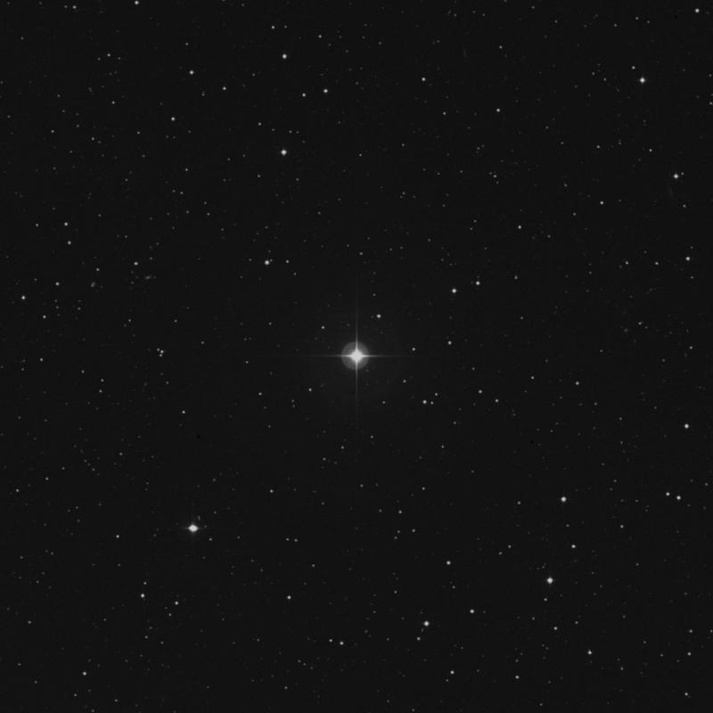 Image of 14 Serpentis star