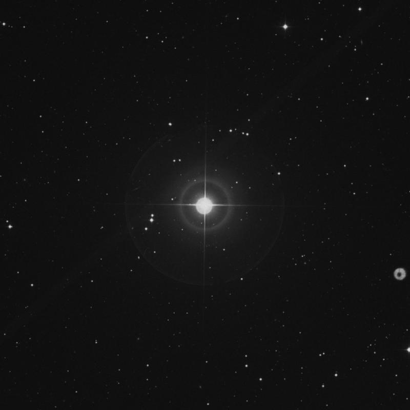 Image of γ Coronae Borealis (gamma Coronae Borealis) star