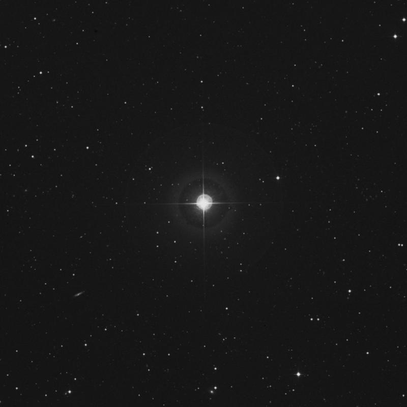 Image of π Coronae Borealis (pi Coronae Borealis) star