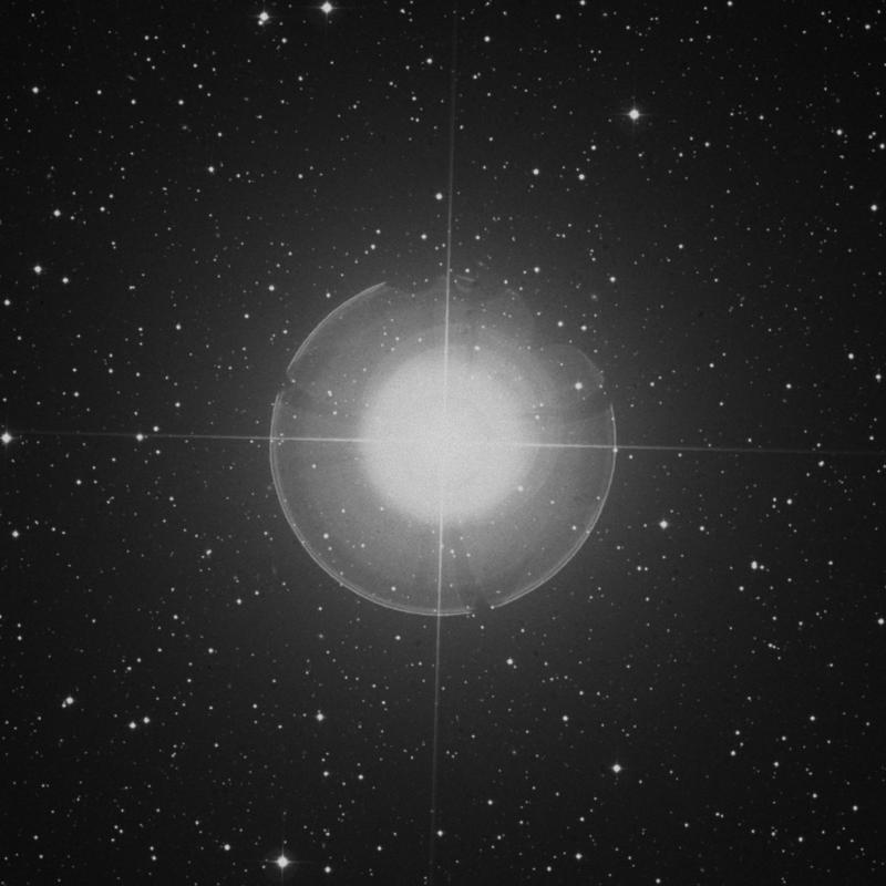 Image of Almach - γ1 Andromedae (gamma1 Andromedae) star