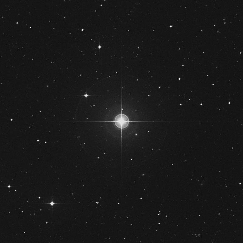 Image of HR608 star