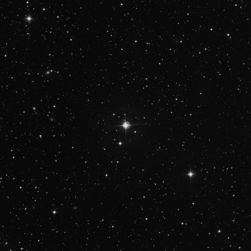 Image of HR619 star