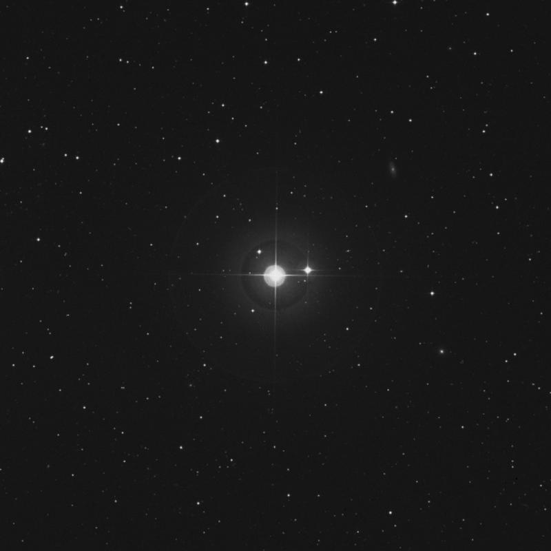 Image of 14 Arietis star