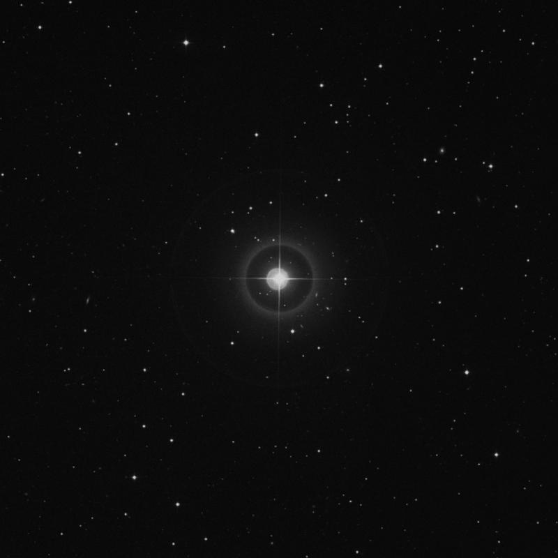 Image of 19 Arietis star