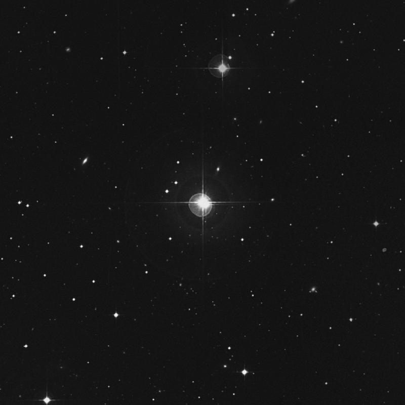 Image of 66 Ceti star