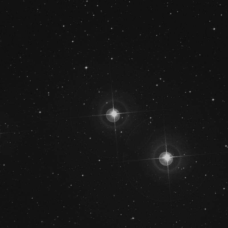 Image of π2 Hydri (pi2 Hydri) star