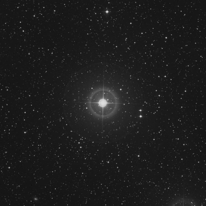 Image of 65 Andromedae star
