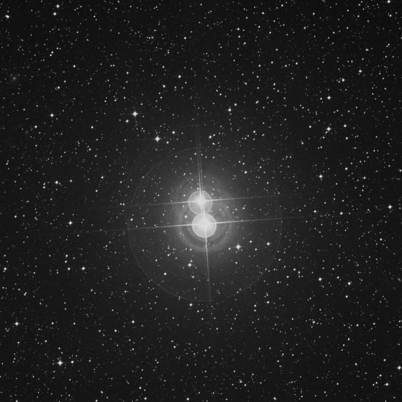Image of δ2 Apodis (delta2 Apodis) star