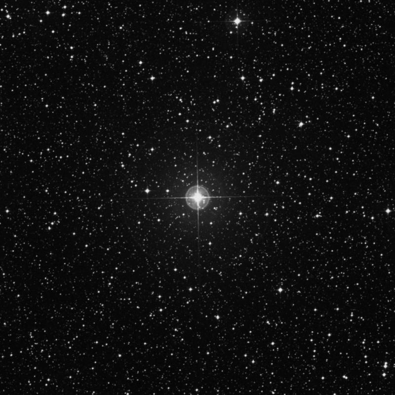 Image of ζ Trianguli Australis (zeta Trianguli Australis) star