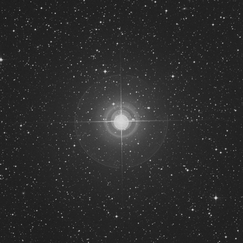 Image of γ Apodis (gamma Apodis) star