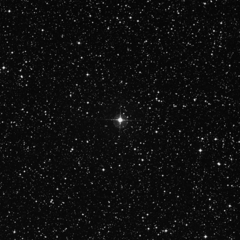 Image of η1 Trianguli Australis (eta1 Trianguli Australis) star