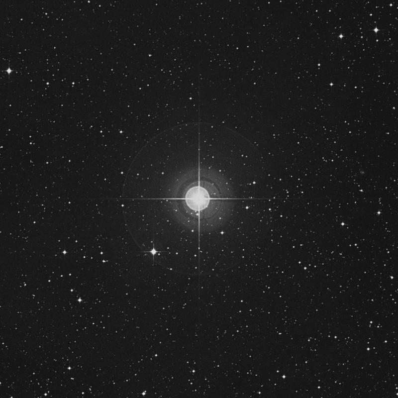 Image of 41 Ophiuchi star