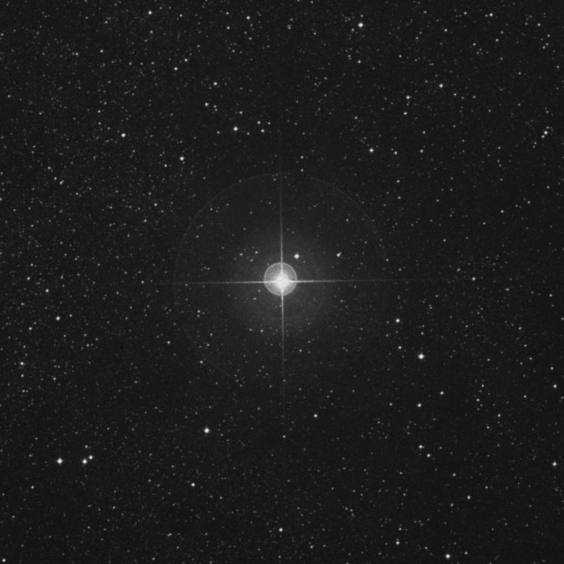 Image of Shaula - λ Scorpii (lambda Scorpii) star