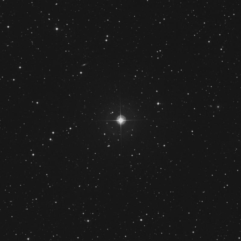 Image of Alruba - HR6618 star