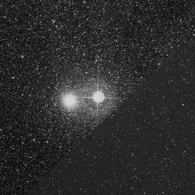 Image of Fuyue - HR6630 star
