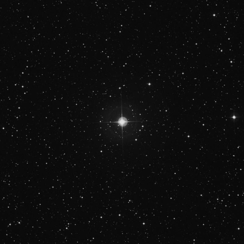 Image of μ Lyrae (mu Lyrae) star