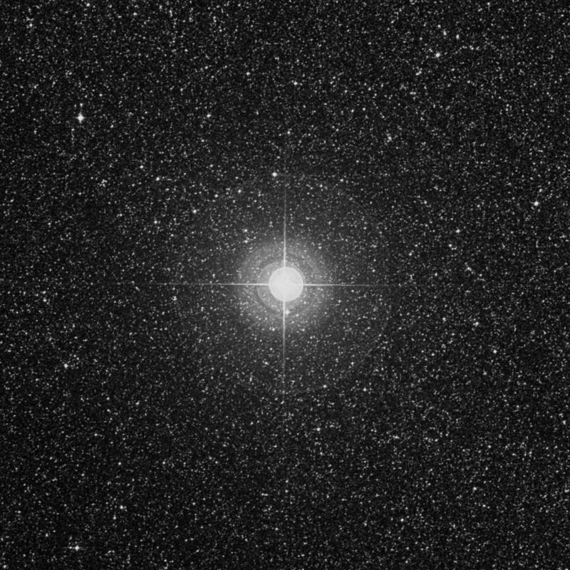 Image of Kaus Borealis - λ Sagittarii (lambda Sagittarii) star