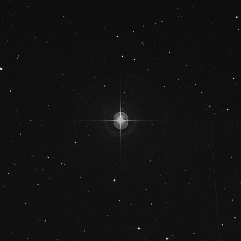 Image of ρ Ceti (rho Ceti) star