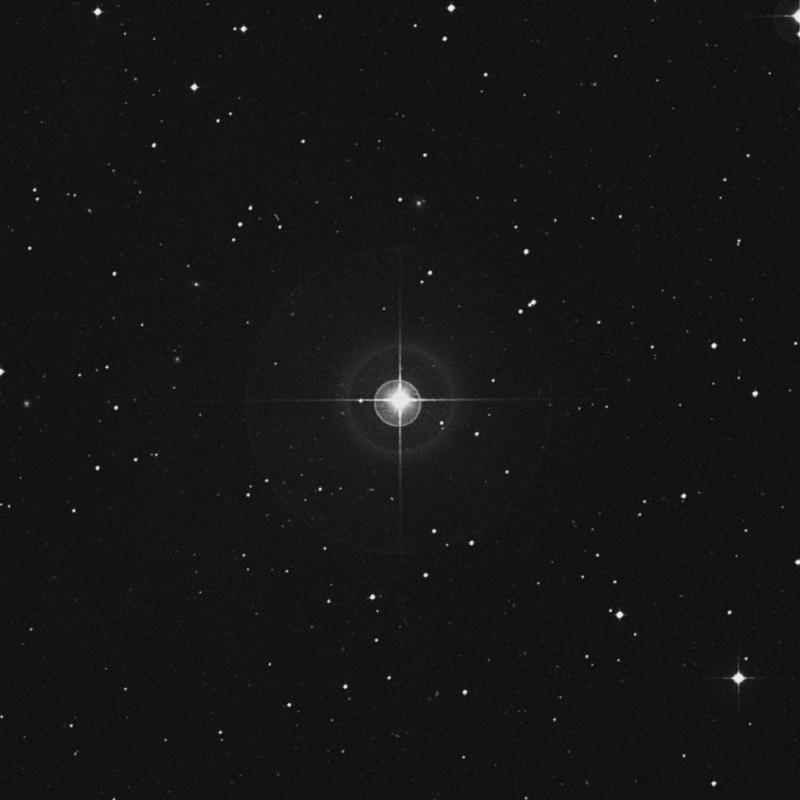 Image of 81 Ceti star
