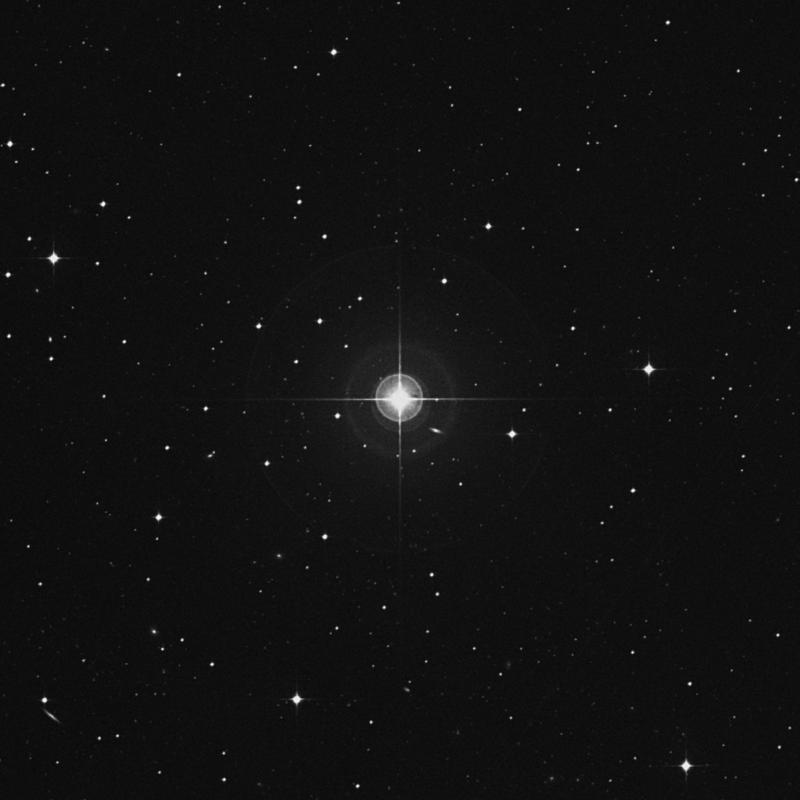 Image of 84 Ceti star