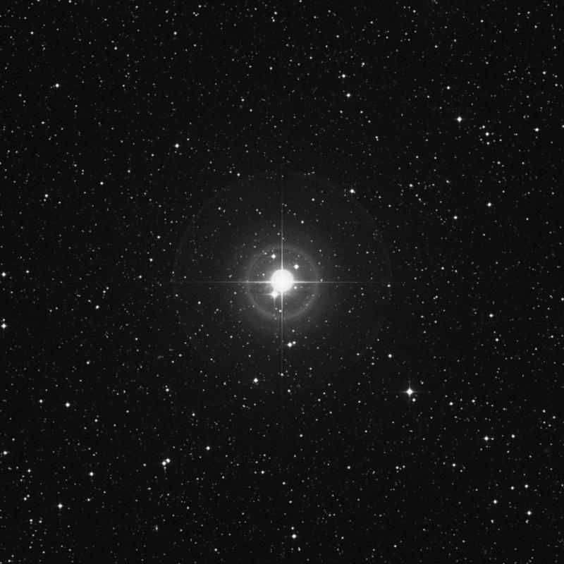 Image of Sheliak - β Lyrae (beta Lyrae) star