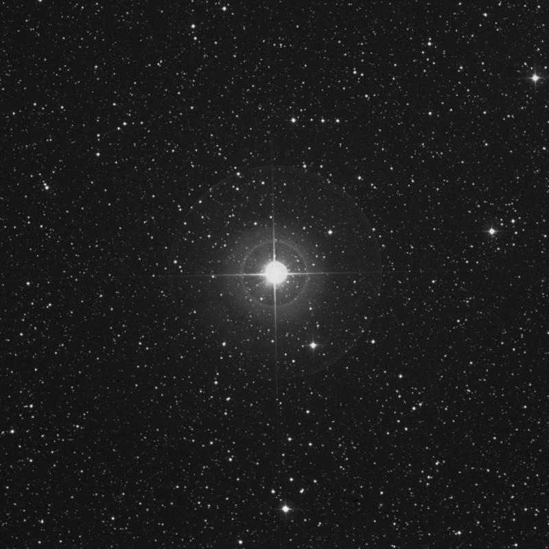 Image of Sulafat - γ Lyrae (gamma Lyrae) star