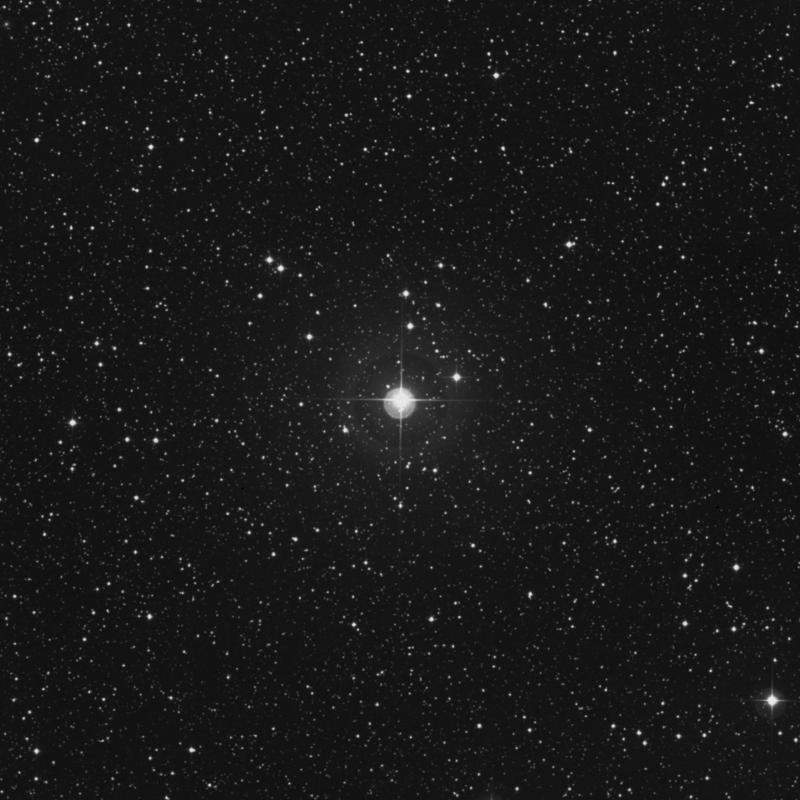 Image of 17 Lyrae star