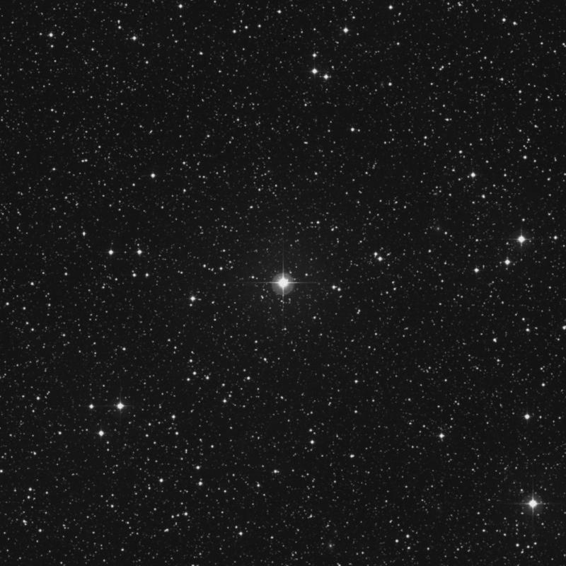Image of 19 Lyrae star
