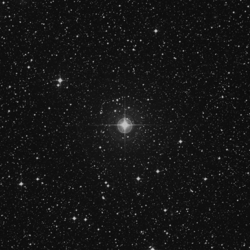 Image of 43 Sagittarii star