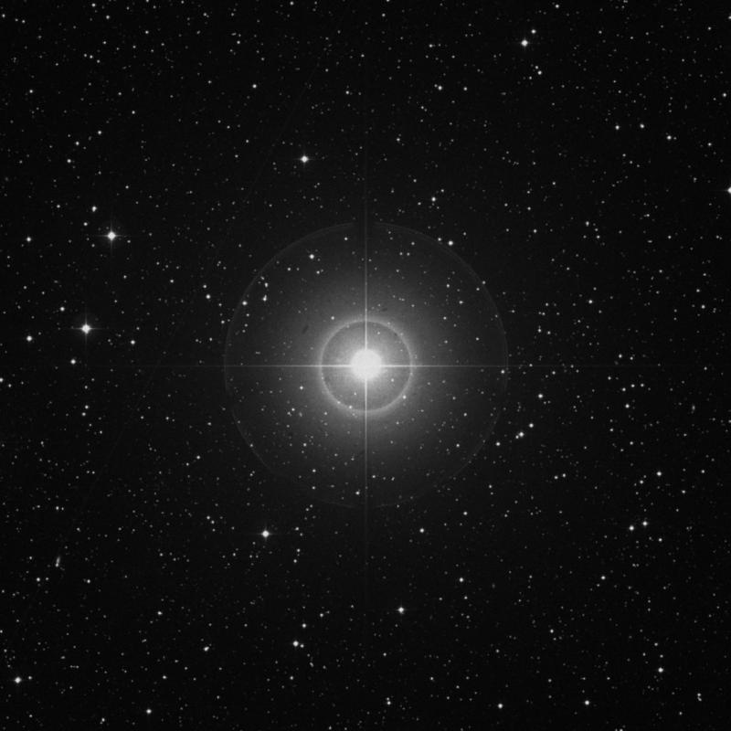 Image of κ Cygni (kappa Cygni) star