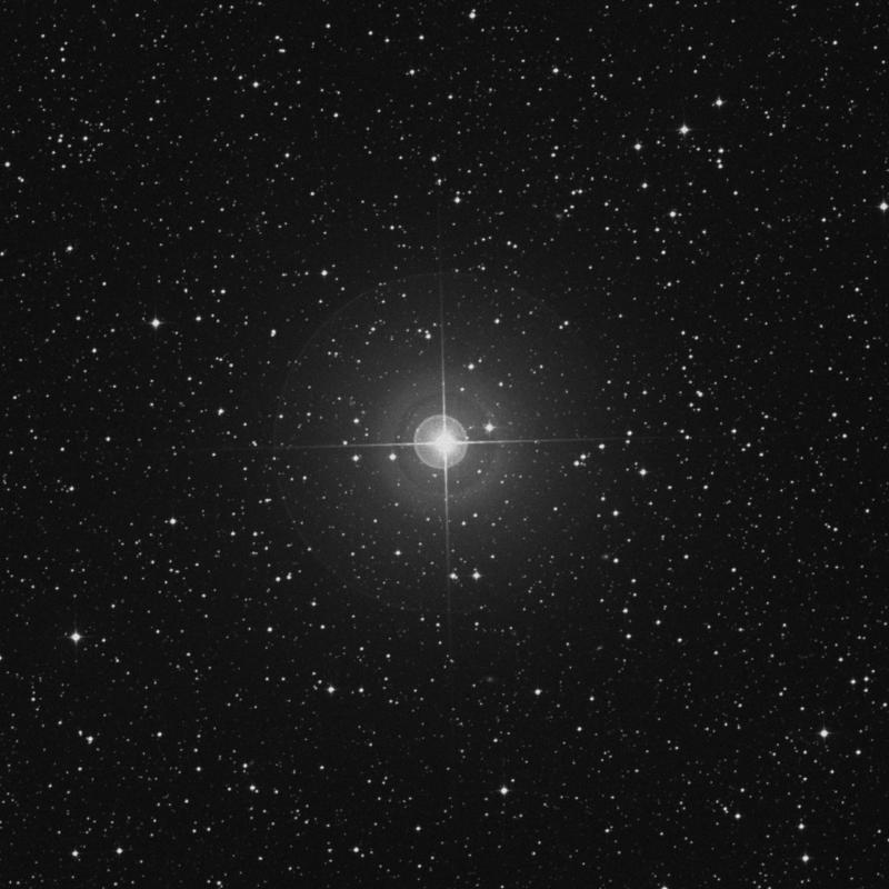 Image of Rukbat - α Sagittarii (alpha Sagittarii) star