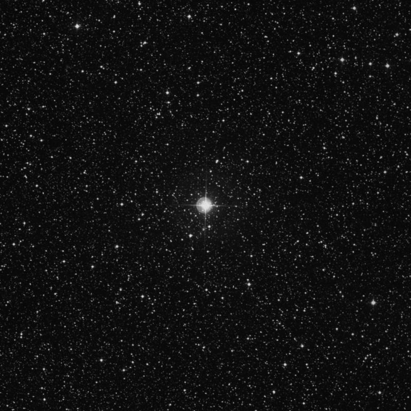 Image of 2 Cygni star