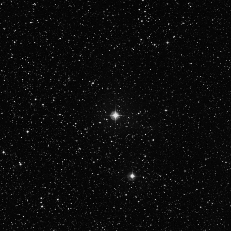 Image of 4 Cygni star