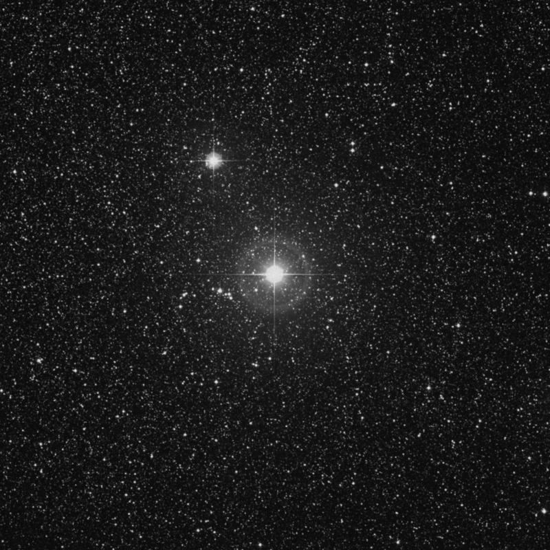 Image of Anser - α Vulpeculae (alpha Vulpeculae) star