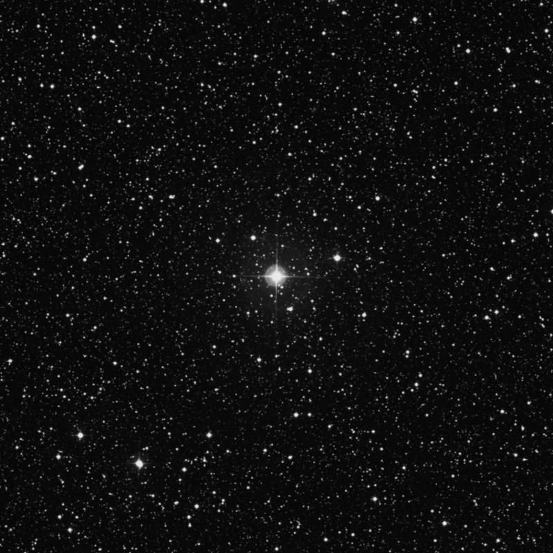 Image of 8 Cygni star