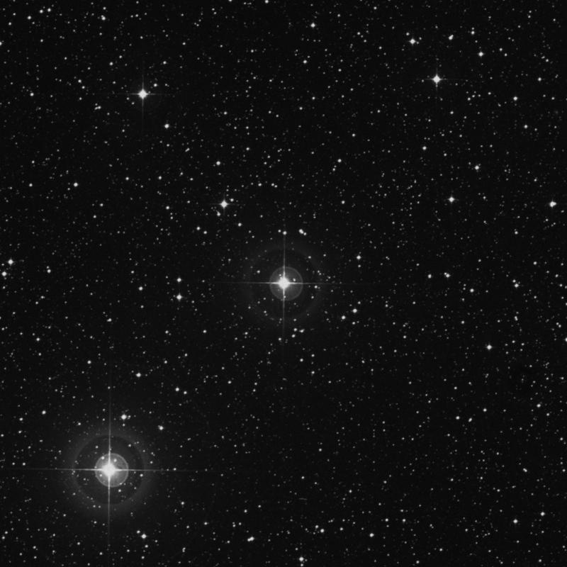 Image of 51 Sagittarii star