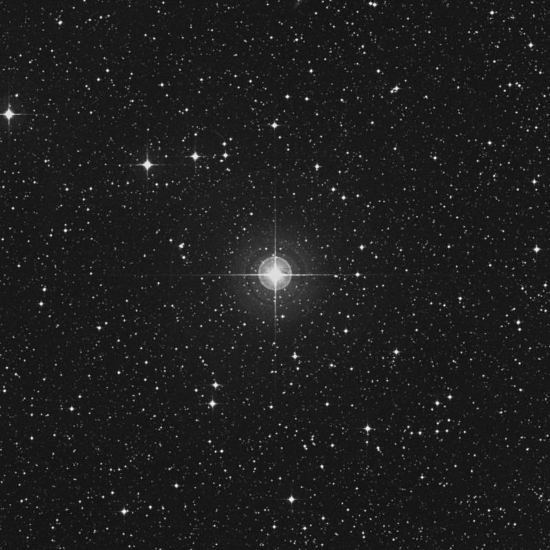 Image of 55 Sagittarii star