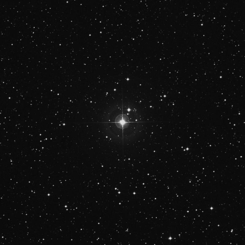 Image of ν Telescopii (nu Telescopii) star