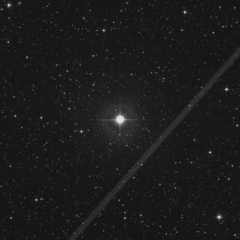 Image of 20 Cygni star