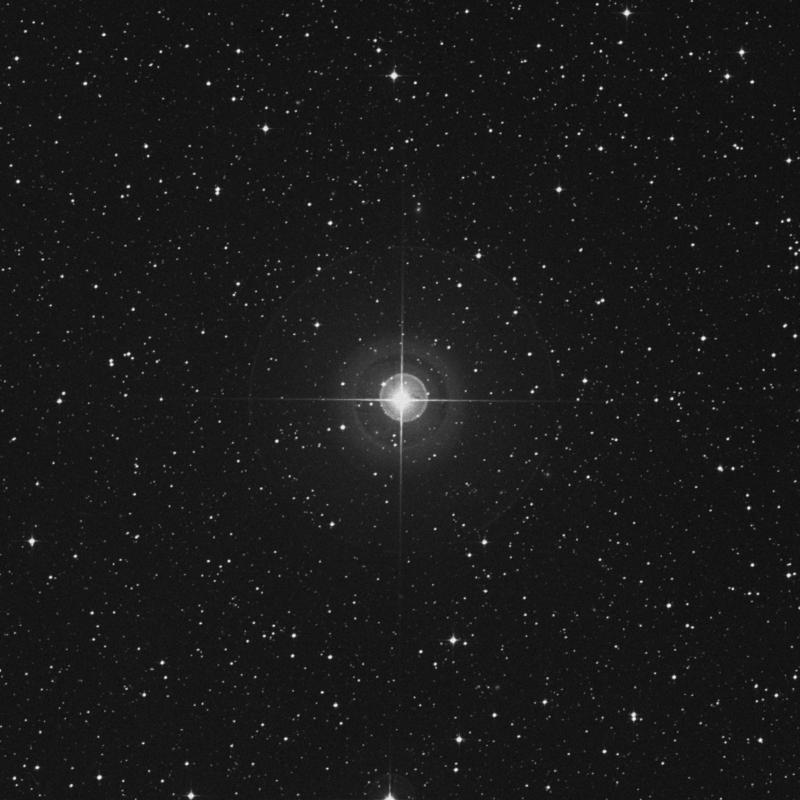 Image of Terebellum - ω Sagittarii (omega Sagittarii) star