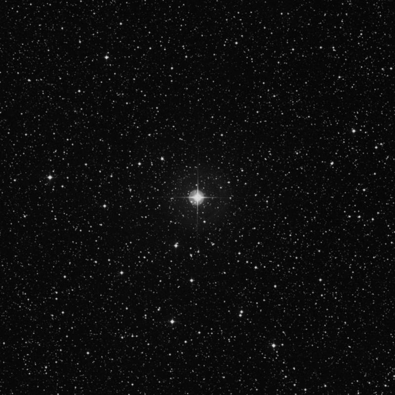 Image of ρ Aquilae (rho Aquilae) star