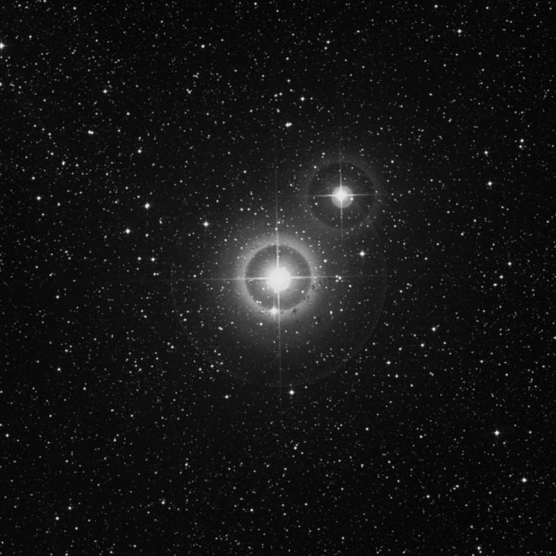 Image of 31 Cygni star