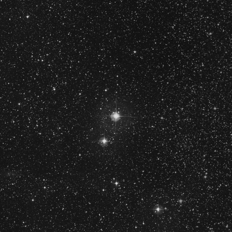 Image of 29 Cygni star