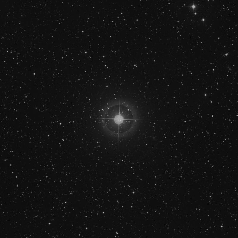 Image of 33 Cygni star