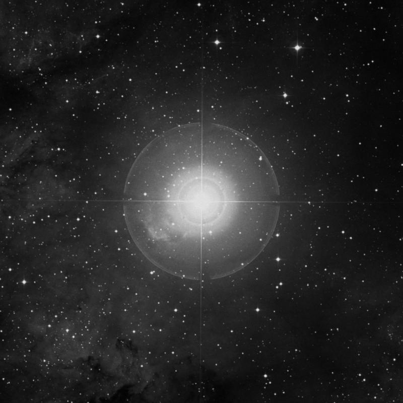 Image of Sadr - γ Cygni (gamma Cygni) star