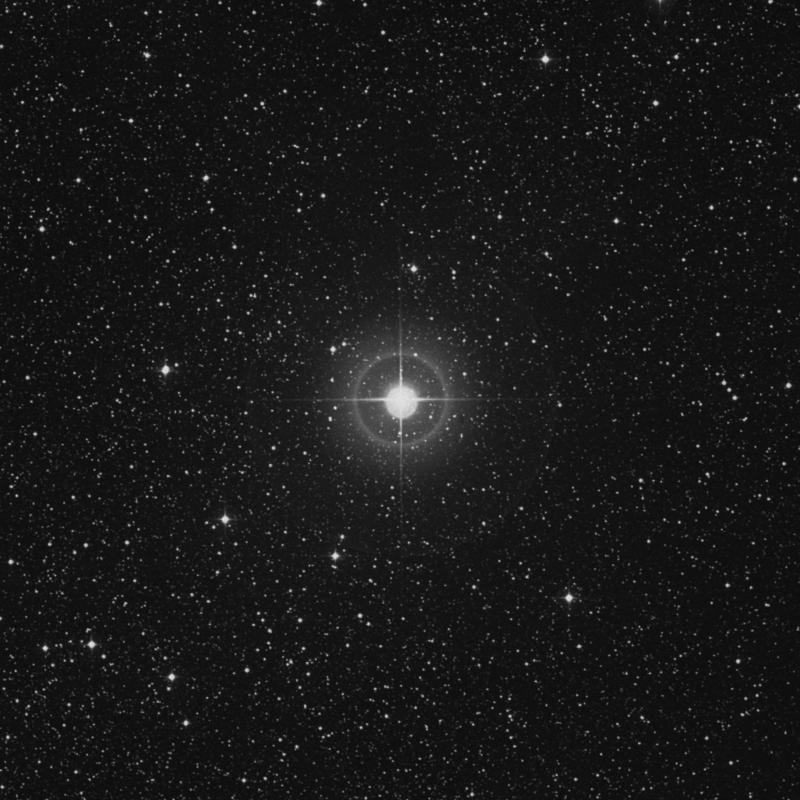 Image of 39 Cygni star