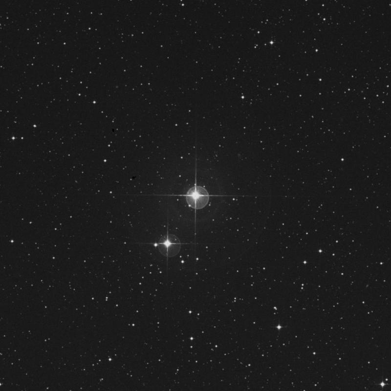 Image of ρ Capricorni (rho Capricorni) star