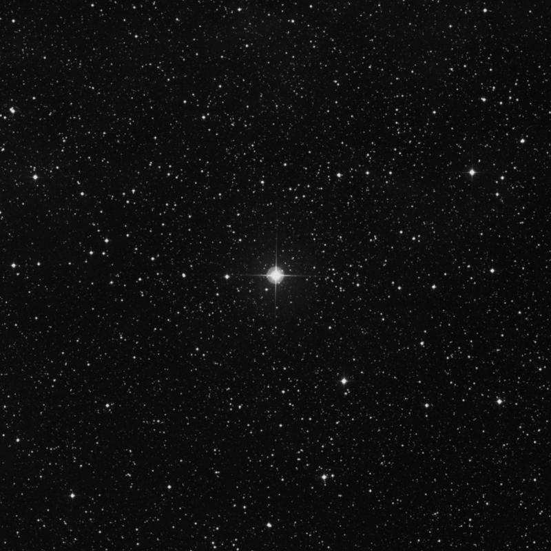 Image of 43 Cygni star