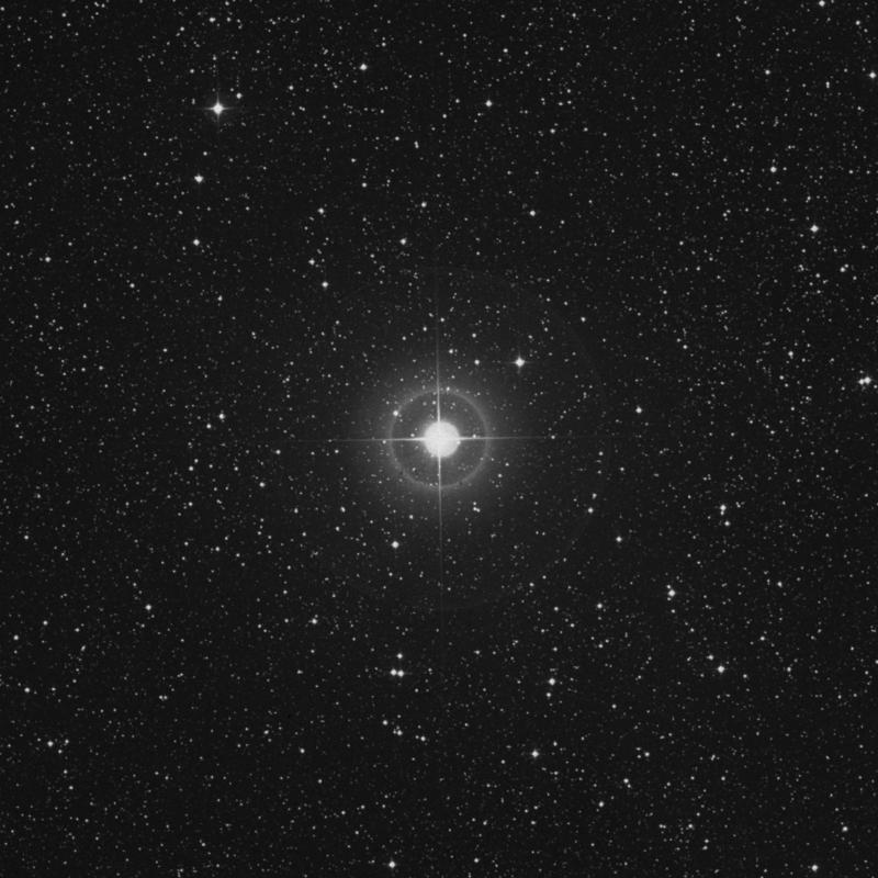 Image of 41 Cygni star