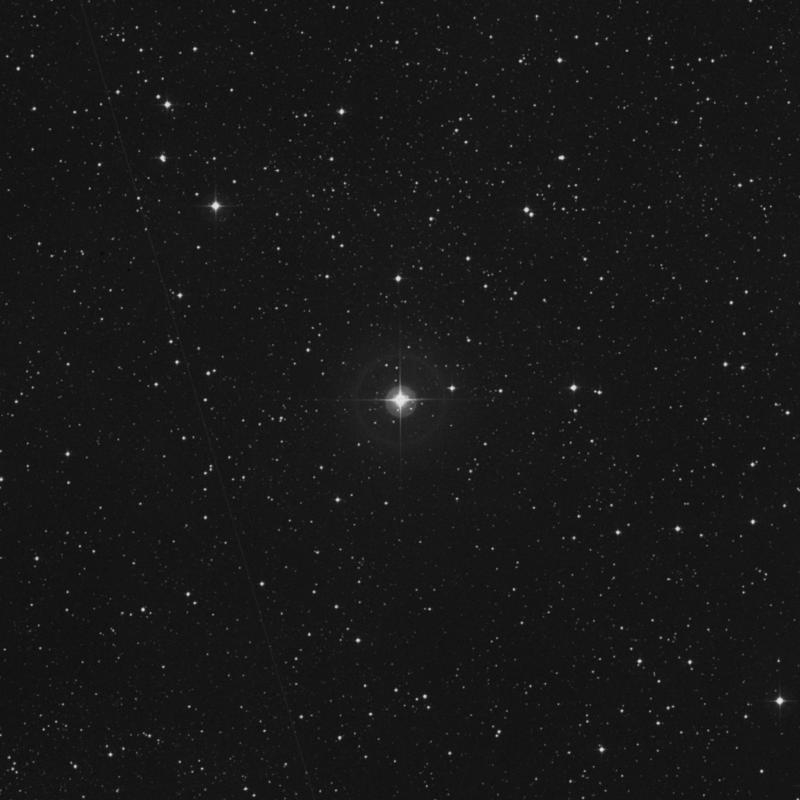 Image of 42 Cygni star